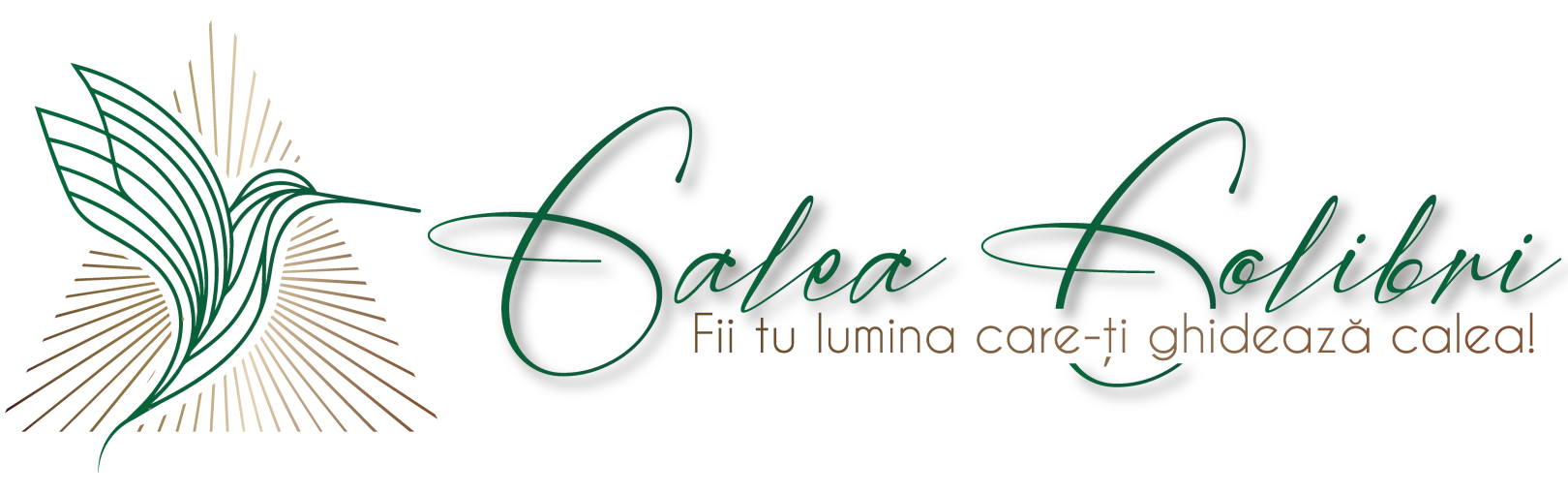 Cosmic Themes logo
